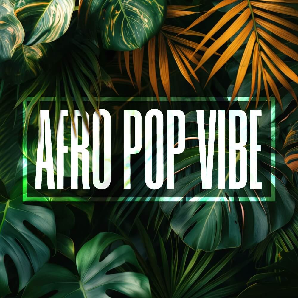 Afro Pop Vibe