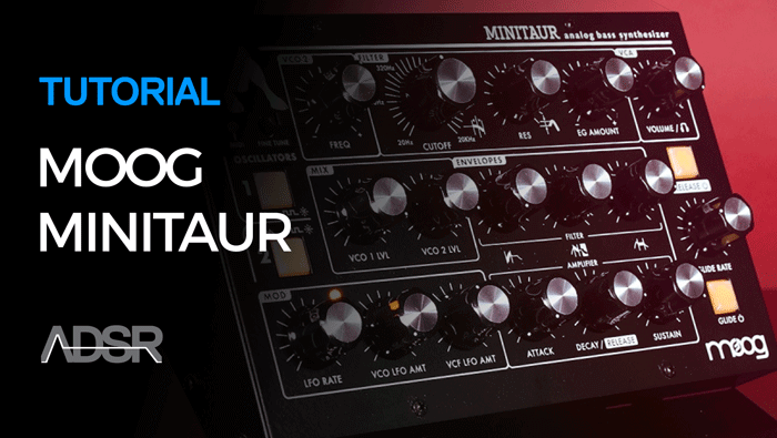 Working With Moog Minitaur